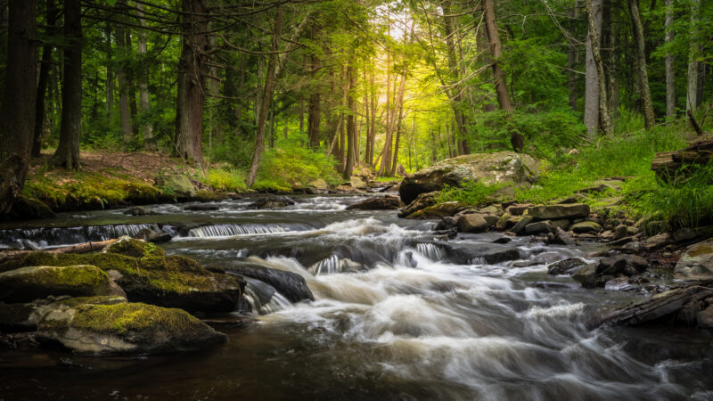 Unpredictable Water Currents